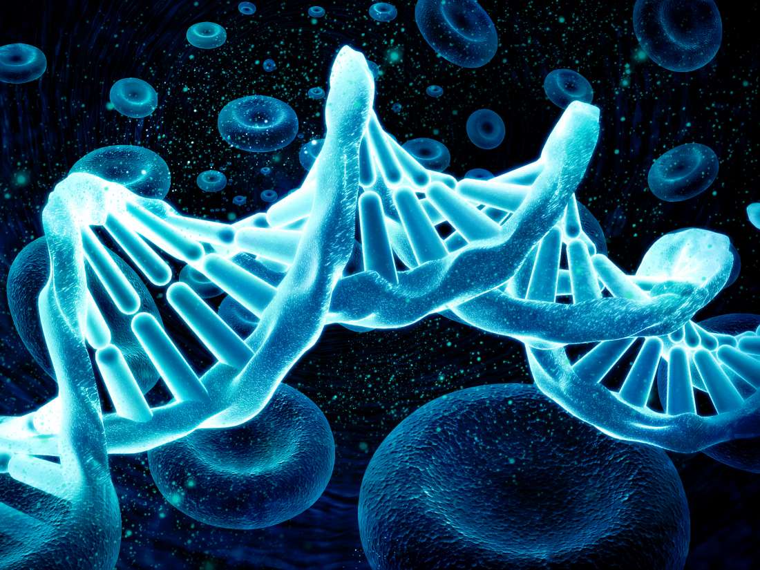 Геном человека определить. Геном человека. Клетка ДНК. Соматическая генотерапия. Гены человека.